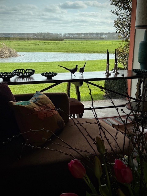 paire Vienna Bronze pheasants by workshop of Frans Xavier Bergmann