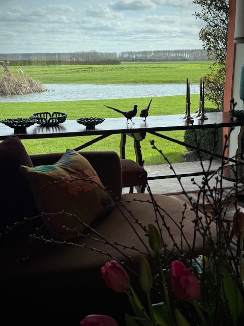 paire Vienna Bronze pheasants by workshop of Frans Xavier Bergmann