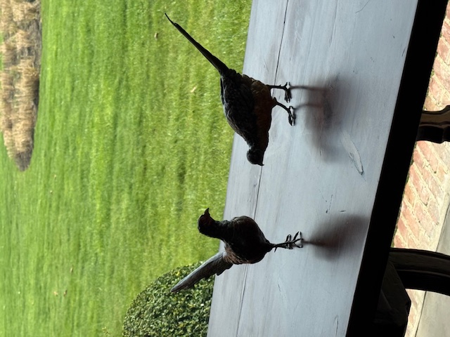 paire Vienna Bronze pheasants by workshop of Frans Xavier Bergmann