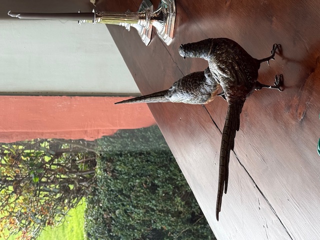 paire Vienna Bronze pheasants by workshop of Frans Xavier Bergmann
